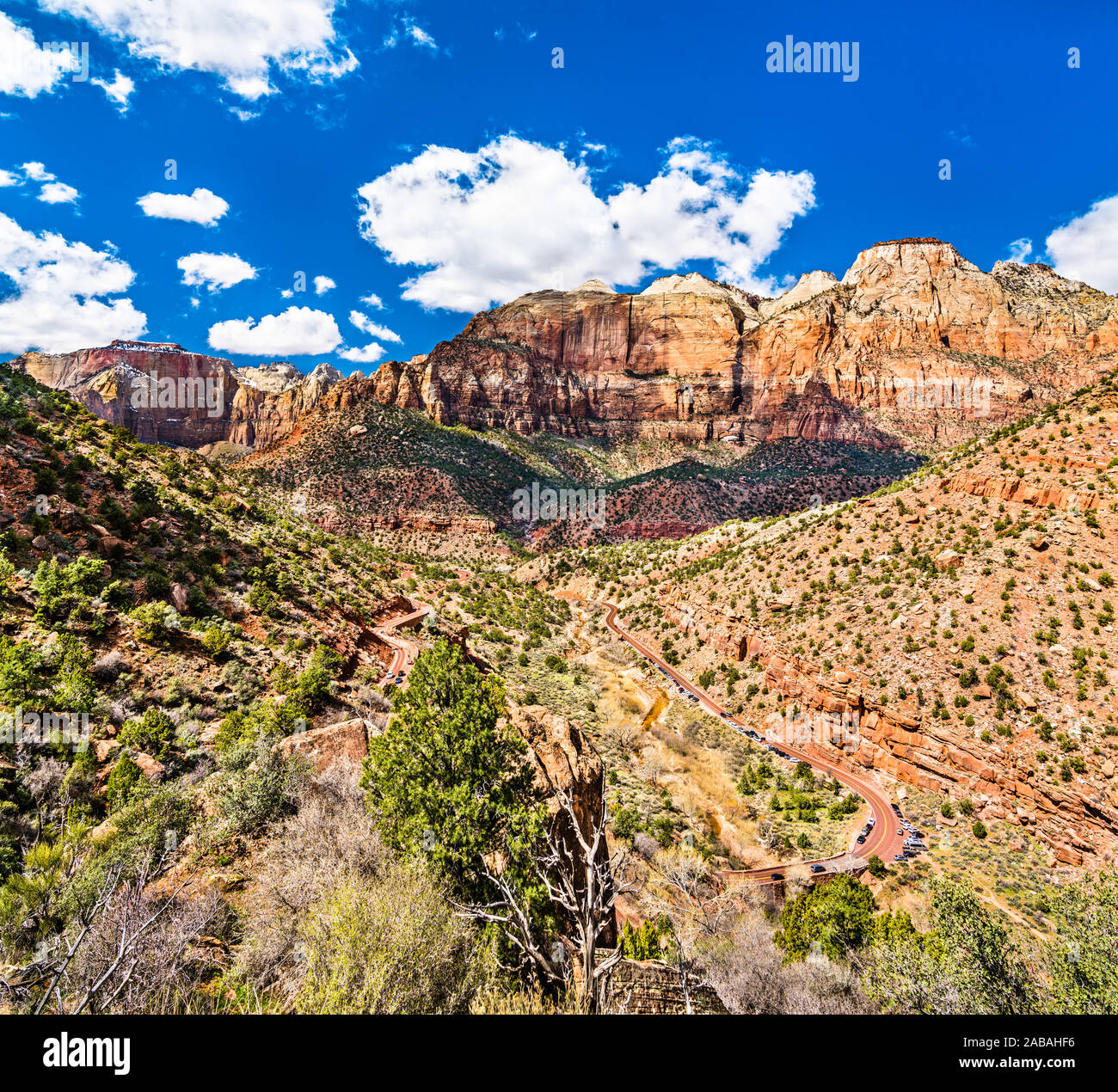 Pine Creek Canyon at Zion National Park in Utah Stock Photo