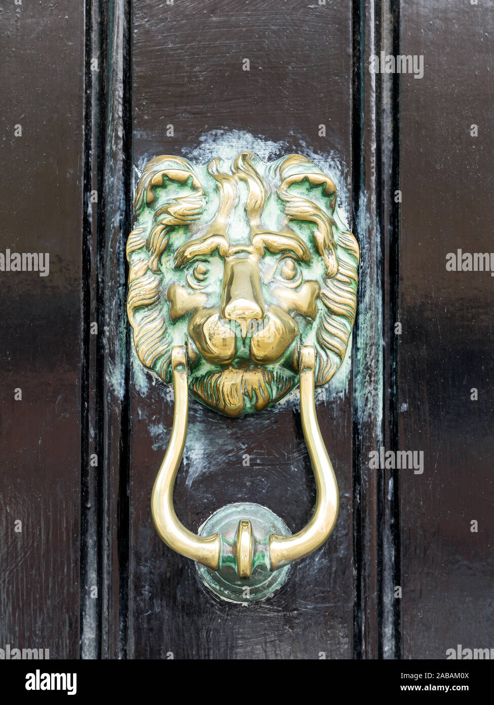 Ein goldener Tuerklopfer in Loewenkopf-Optik Stock Photo