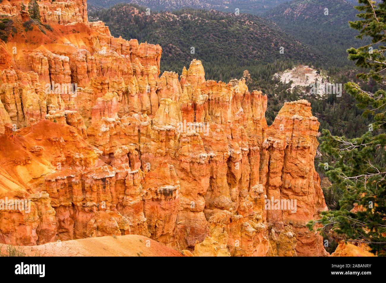 Bryce Canyon, Utah, Nordamerika Stock Photo