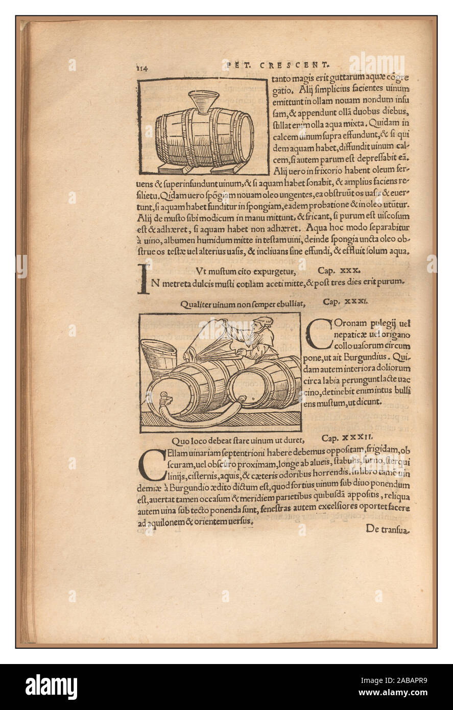 Vintage viticulture historic wine management production 1500's latin text and illustrations on early wine production page by Pietro de Crescenzi an Italian writer on horticulture Stock Photo