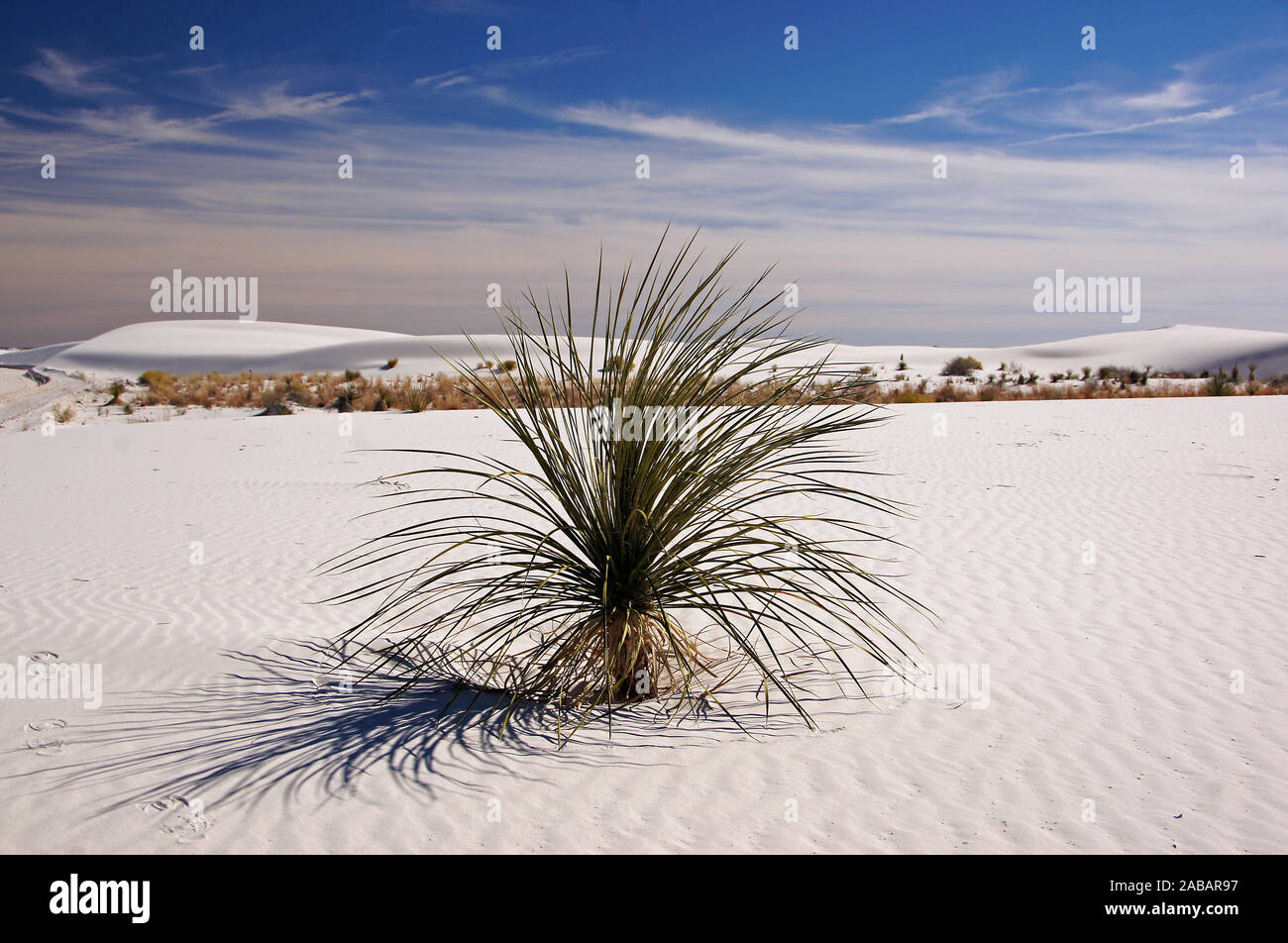 White Sands National Park, New Mexico, USA Stock Photo