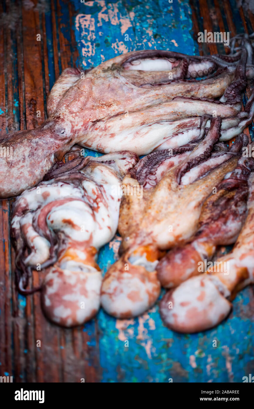 Octopus caught in the boat by fishermen, Morocco Stock Photo Alamy