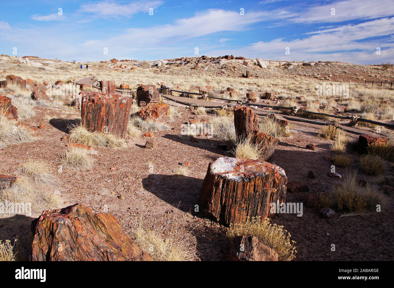 Der Petrified-Forest-Nationalpark ist ein Nationalpark der Vereinigten Staaten im Nordosten Arizonas. Stock Photo