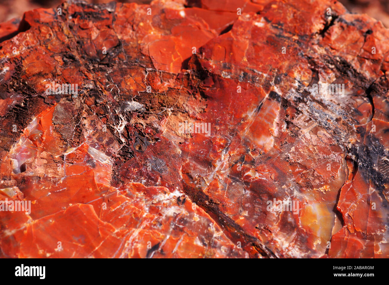 Der Petrified-Forest-Nationalpark ist ein Nationalpark der Vereinigten Staaten im Nordosten Arizonas. Stock Photo