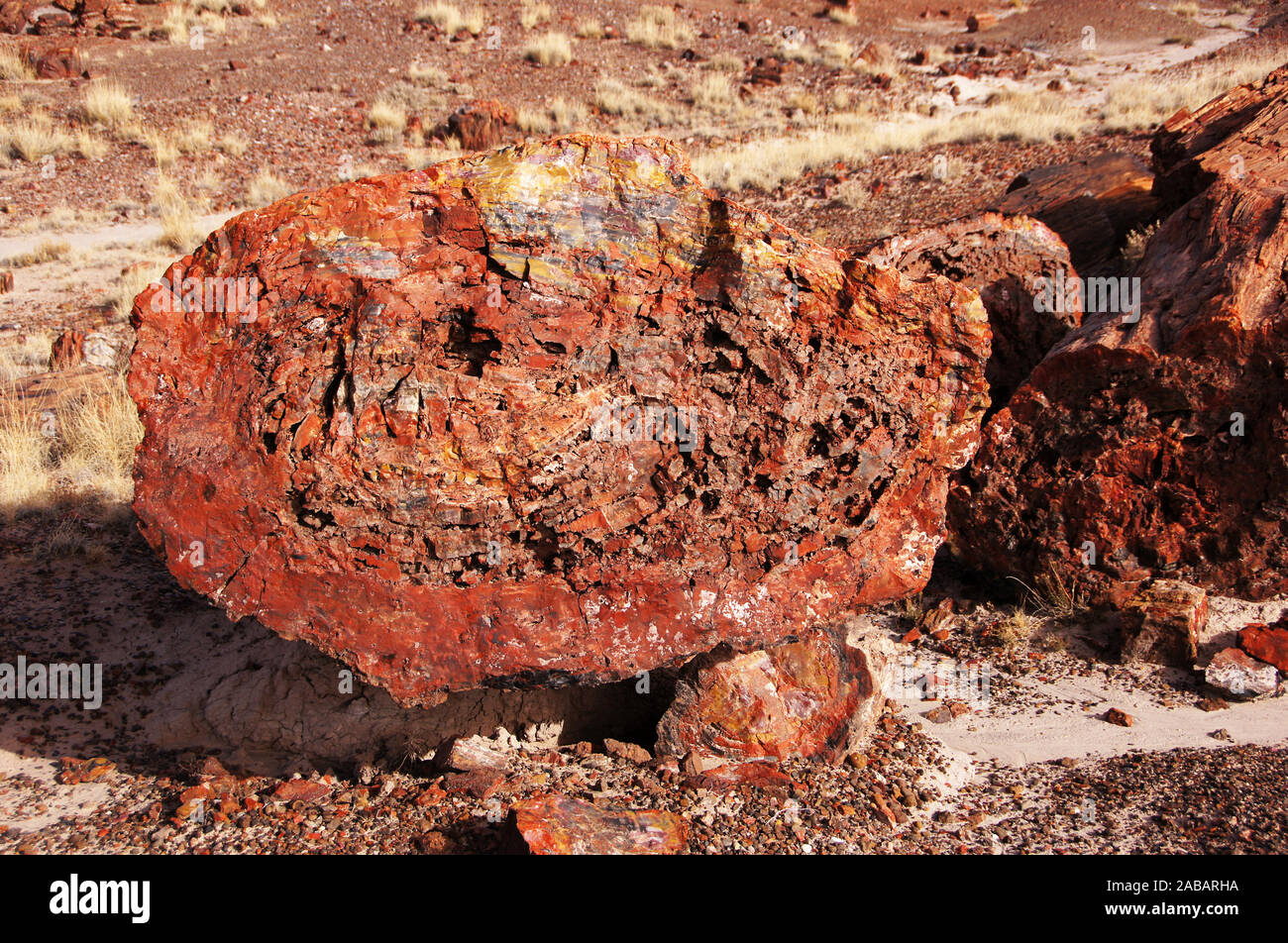Der Petrified-Forest-Nationalpark ist ein Nationalpark der Vereinigten Staaten im Nordosten Arizonas. Stock Photo