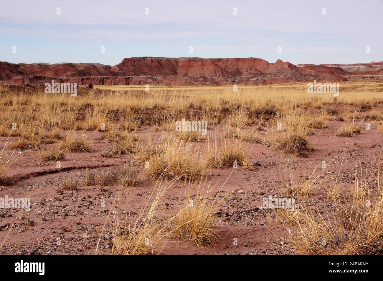 Der Petrified-Forest-Nationalpark ist ein Nationalpark der Vereinigten Staaten im Nordosten Arizonas. Stock Photo