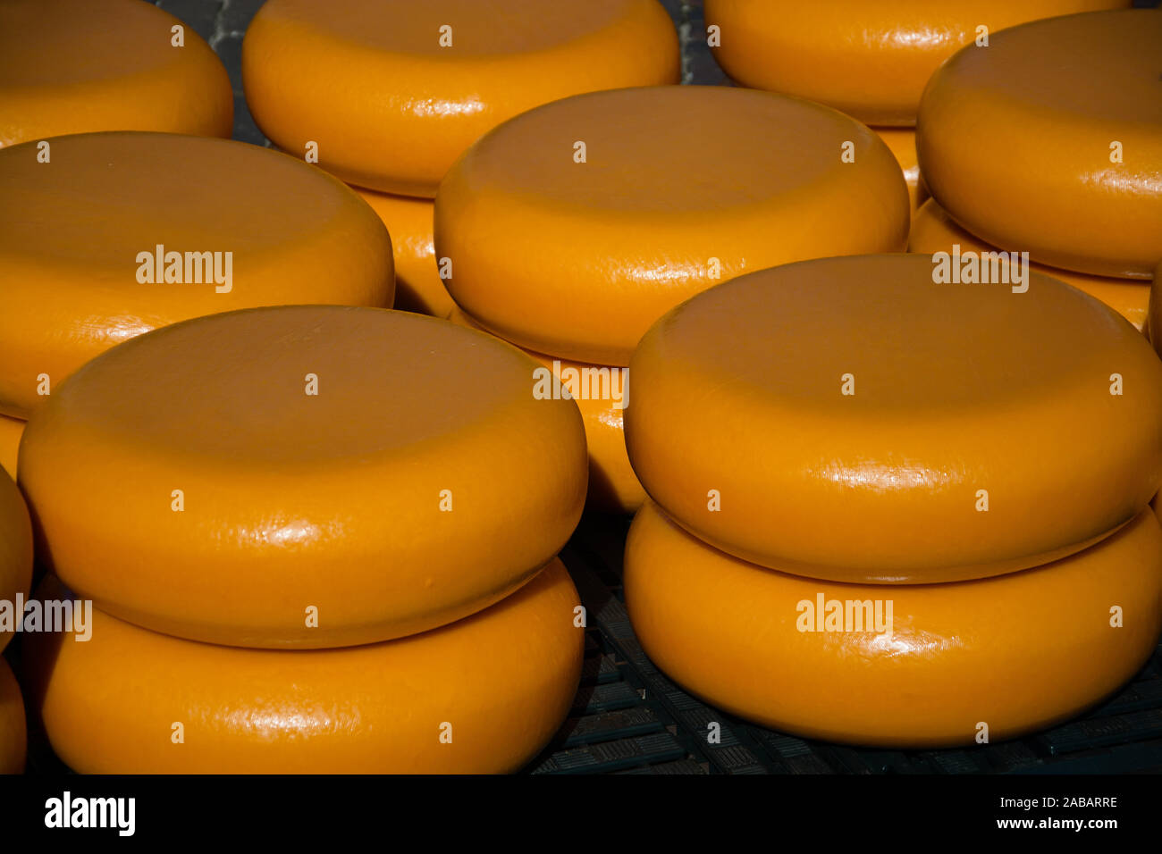 Der Käsemarkt in Alkmaar ist der größte in den Niederlanden mit den traditionellen Käseträgern. Stock Photo
