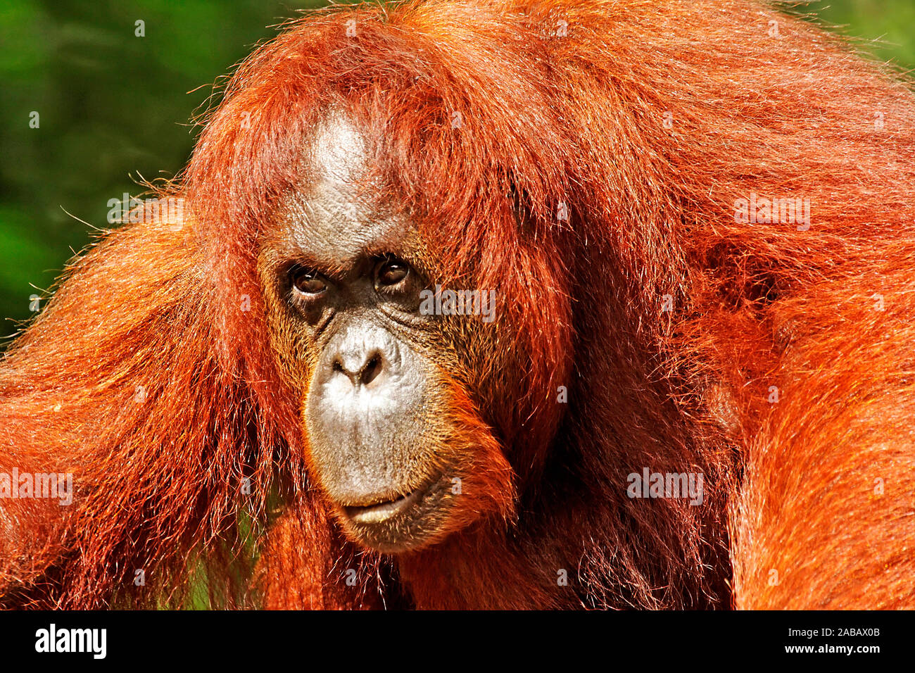 Gotik qizlar onanizm bilan shugullanishadi