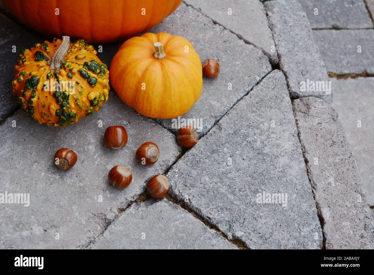Ornamental gourds and hazelnuts as fall decorations Stock Photo