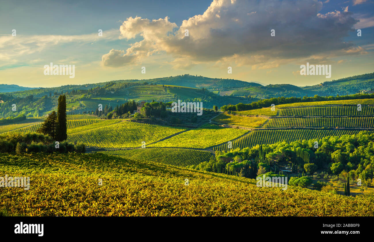 Panzano in Chianti vineyard and panorama at sunset in autumn. Tuscany, Italy Europe. Stock Photo