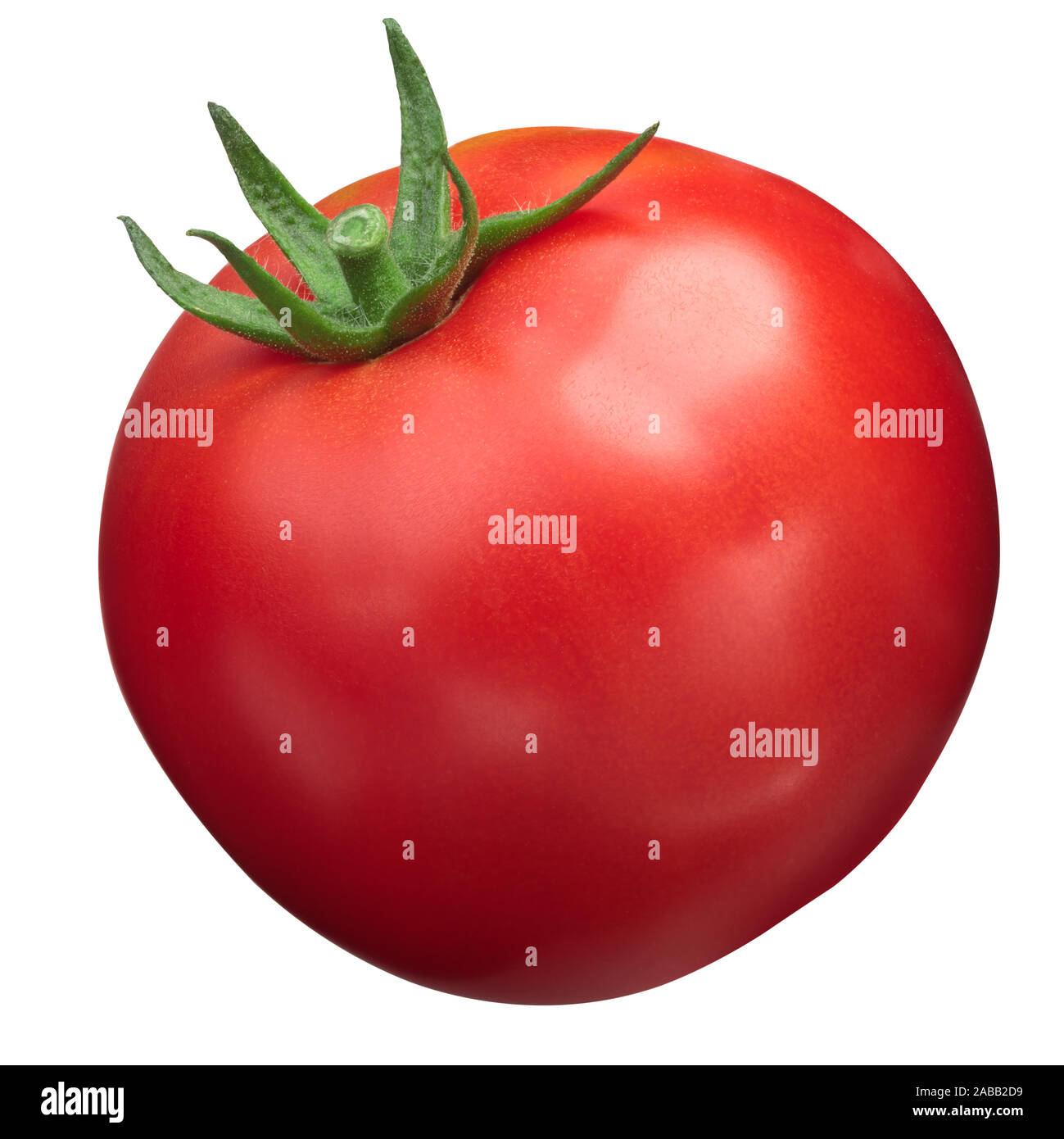 Globe Tomato High Resolution Stock Photography and Images Alamy