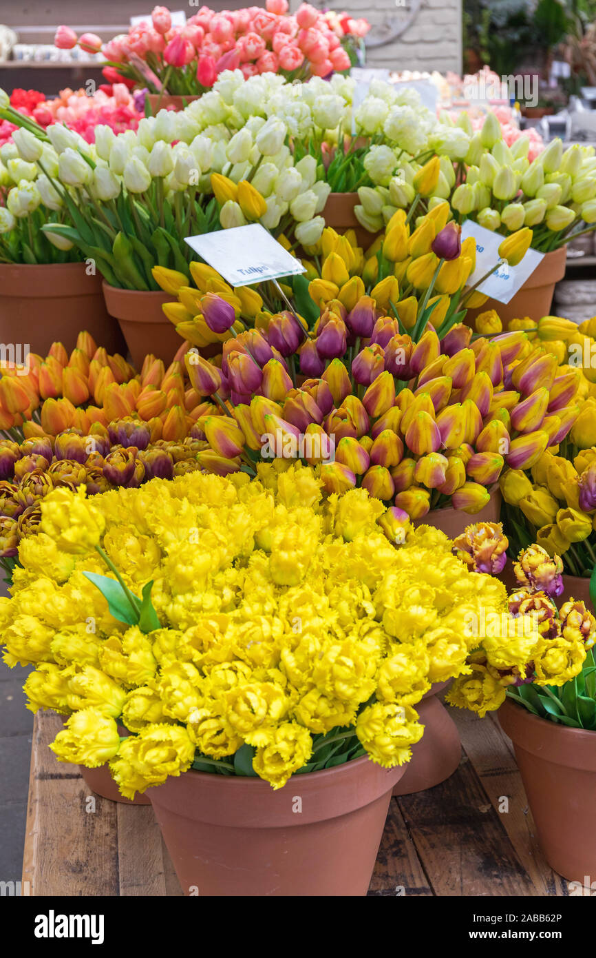 Artificial Yellow Tulips in Flower Pots Souvenirs Stock Photo Alamy