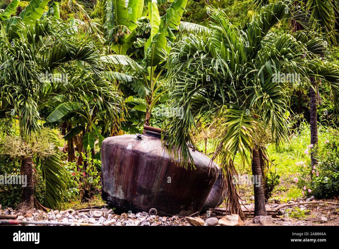 Antoine Rivers Rum Distillery, Saint Patrick, Grenada. Seems out of this world. A discarded pressure vessel on the premises of the oldest rum manufactory Antoine Rivers. Stock Photo