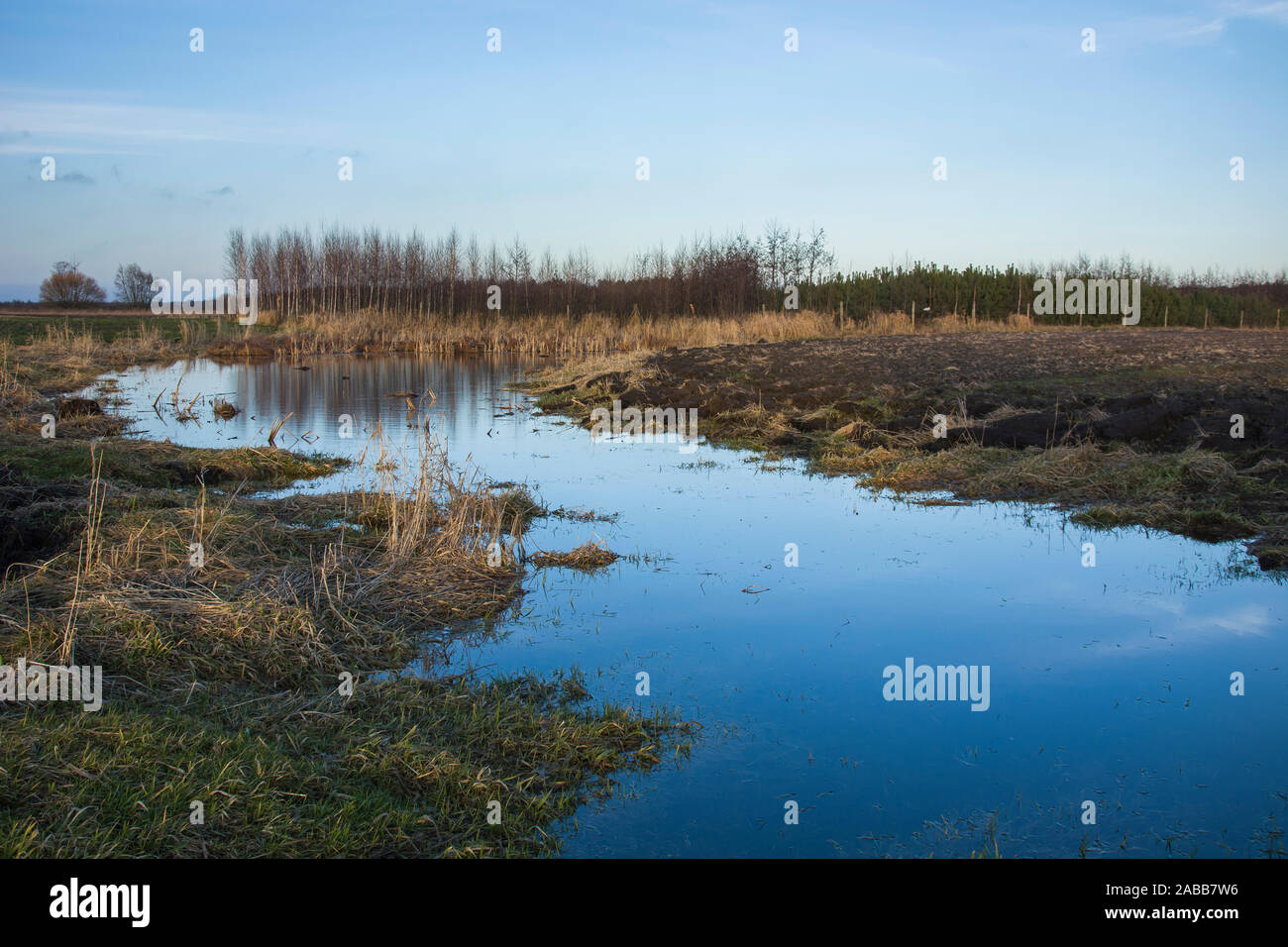 Wild meadow flooded with water Stock Photo