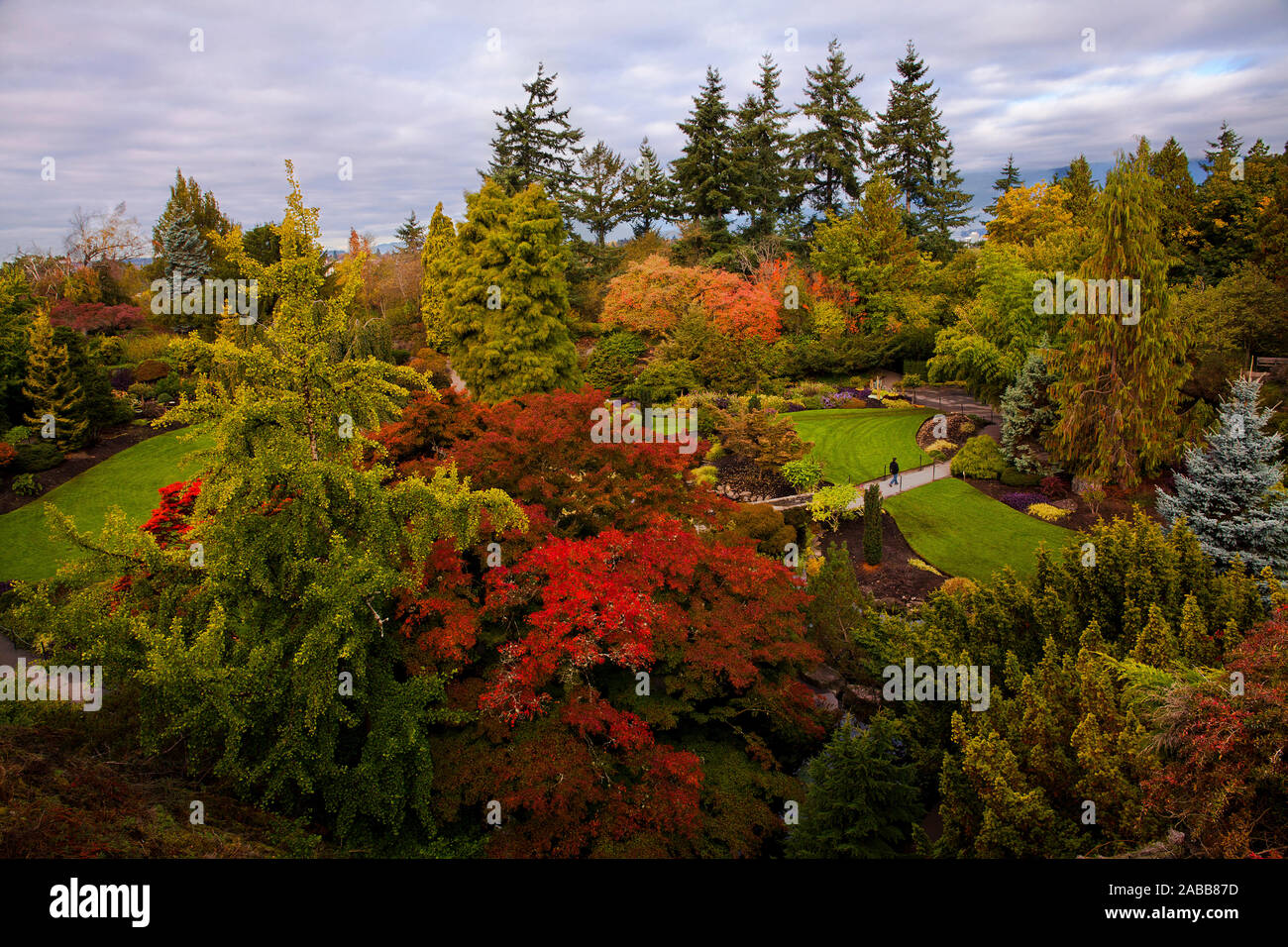 Beautiful fall colors at Queen Elizabeth Park in Vancouver, BC, Canada Stock Photo