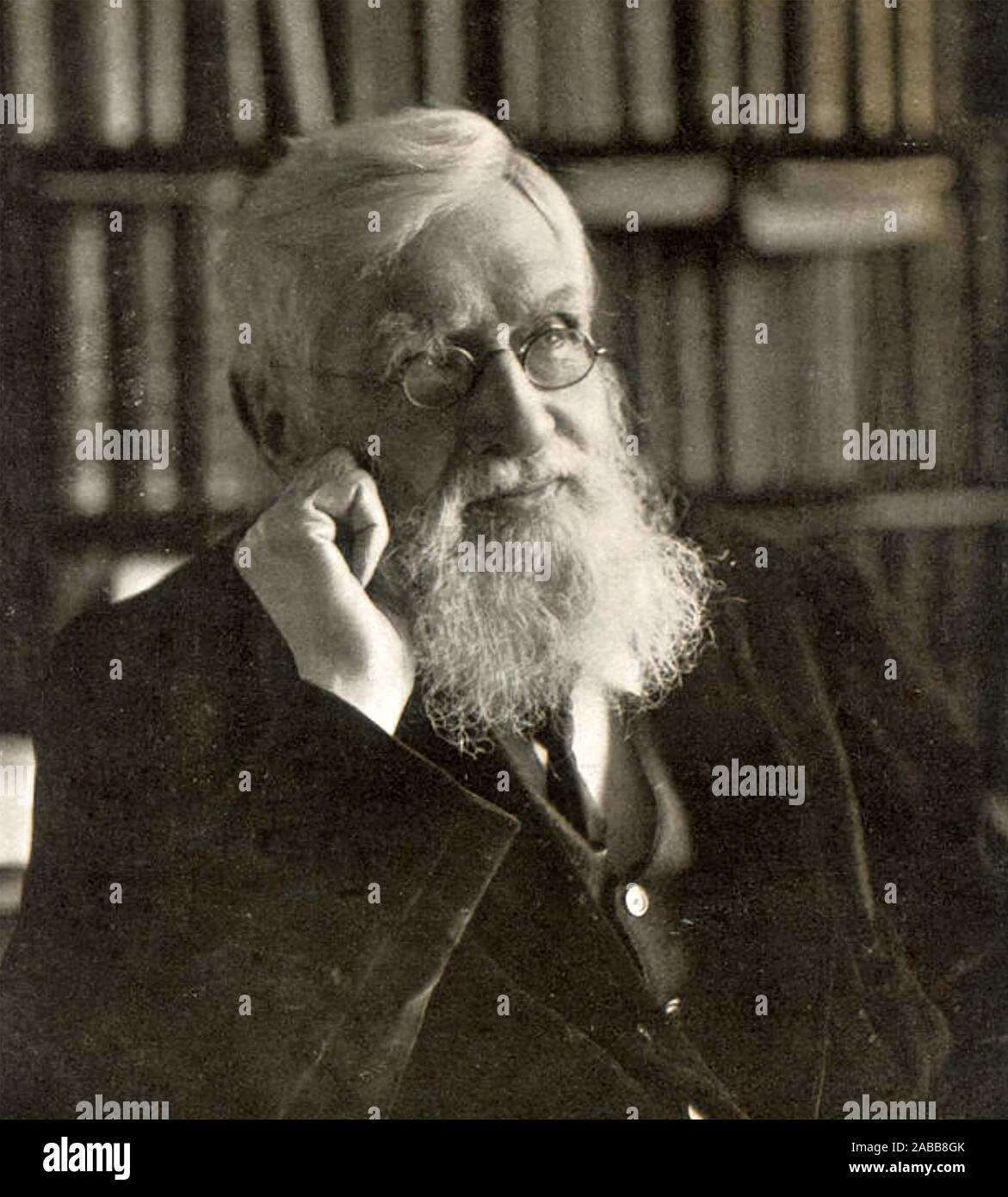 ALFRED RUSSEL WALLACE (1823-1913) British naturalist and biologist about 1895 Stock Photo