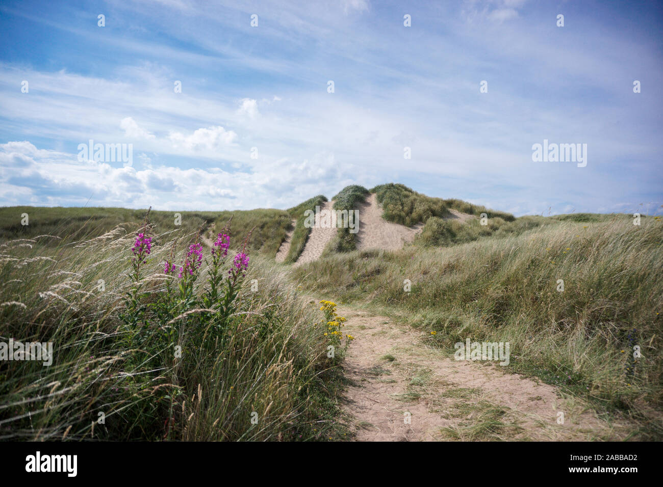 Beach landscape, Aberlady Bay, East Lothian, Scotland, UK Stock Photo