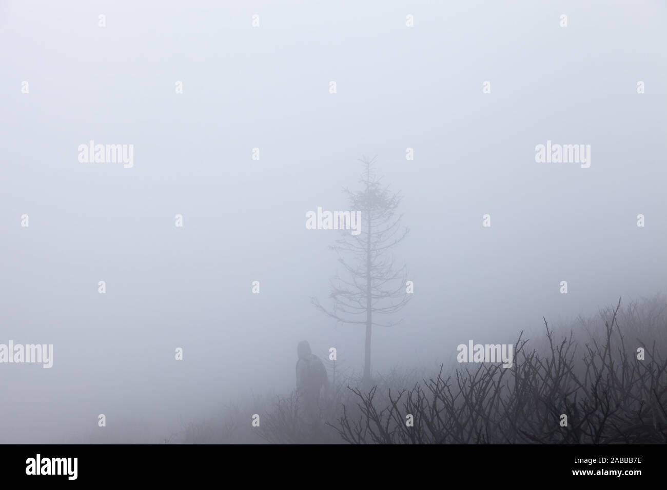Lost in thick fog hi-res stock photography and images - Alamy