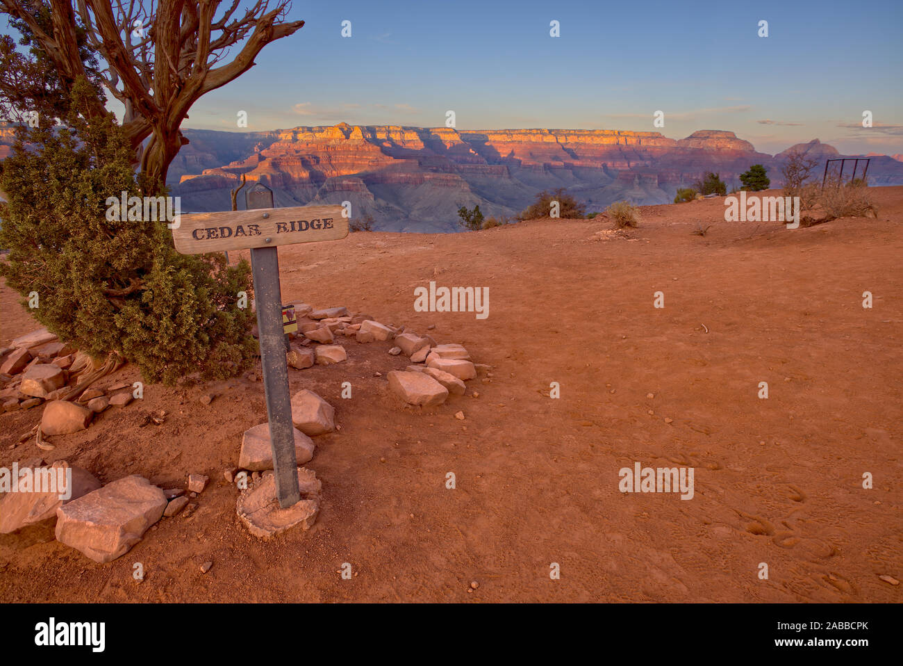 Grand canyon cedar ridge hi res stock photography and images Alamy Grand canyon cedar ridge hi res stock photography and images Alamy