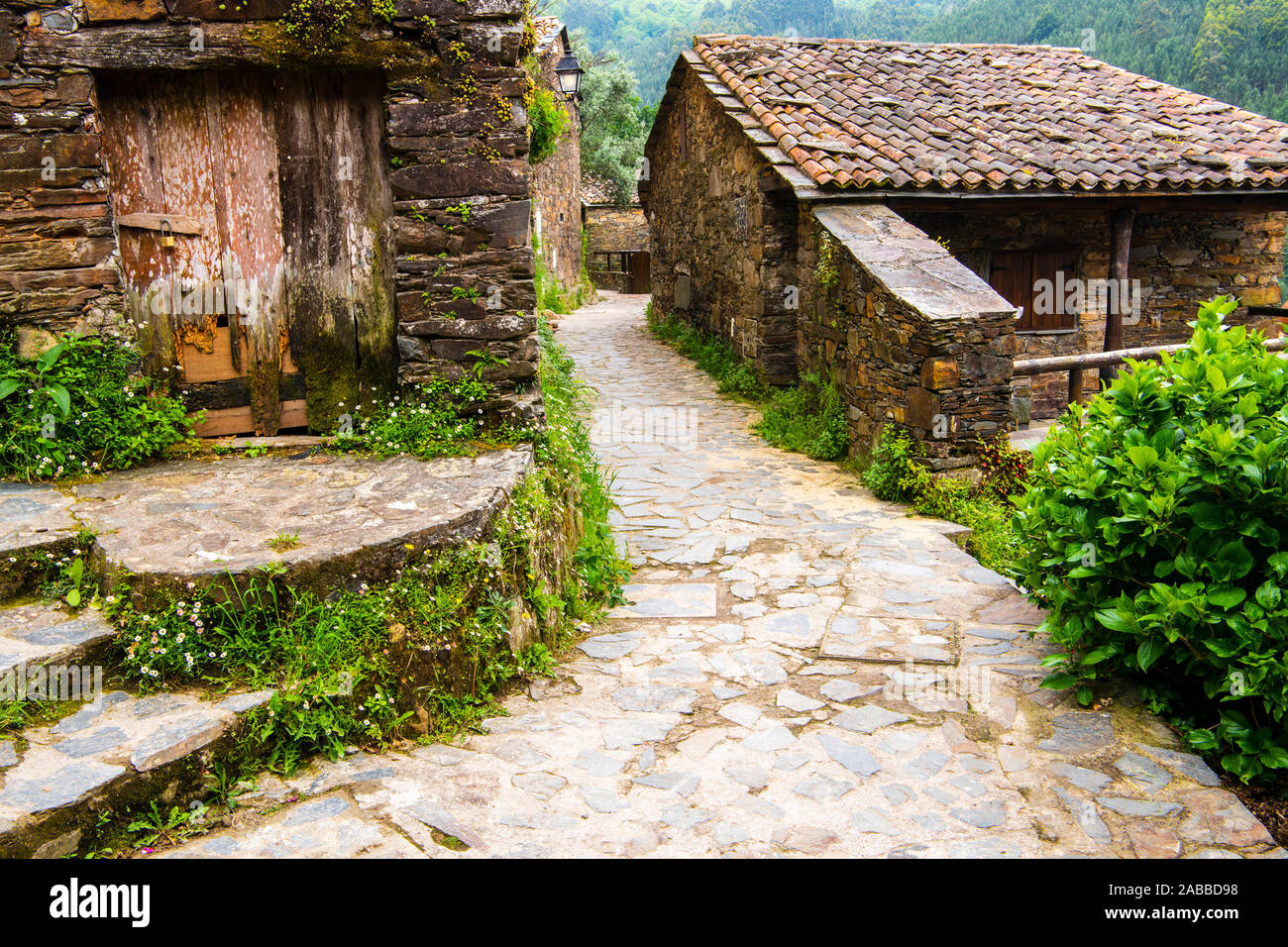 Stone paved pathway winds through rustic buildings overgrown with greenery and wildflowers in Talasnal, Portugal Stock Photo