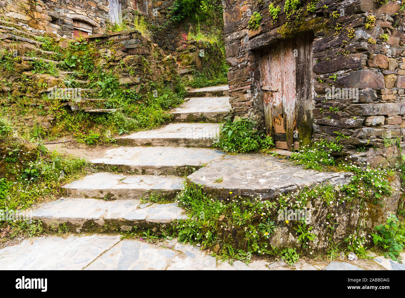 Stone stairway between rustic stone buildings overgrown with lush greenery and wildflowers in Talasnal, Portugal Stock Photo