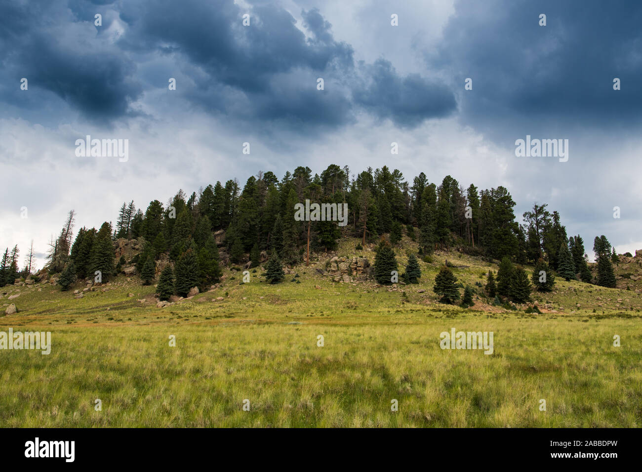 Ominous dark gray storm clouds above a forested hill and grassylands in the Valles Caldera National Preserve in New Mexico, USA Stock Photo