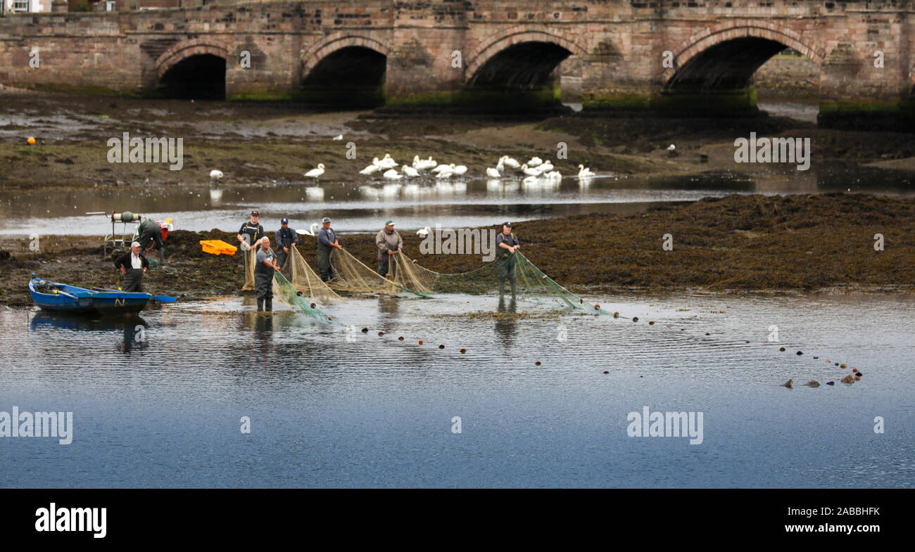 Gardo salmon fishery on the Tweed at Berwick below the Old Bridge Stock Photo