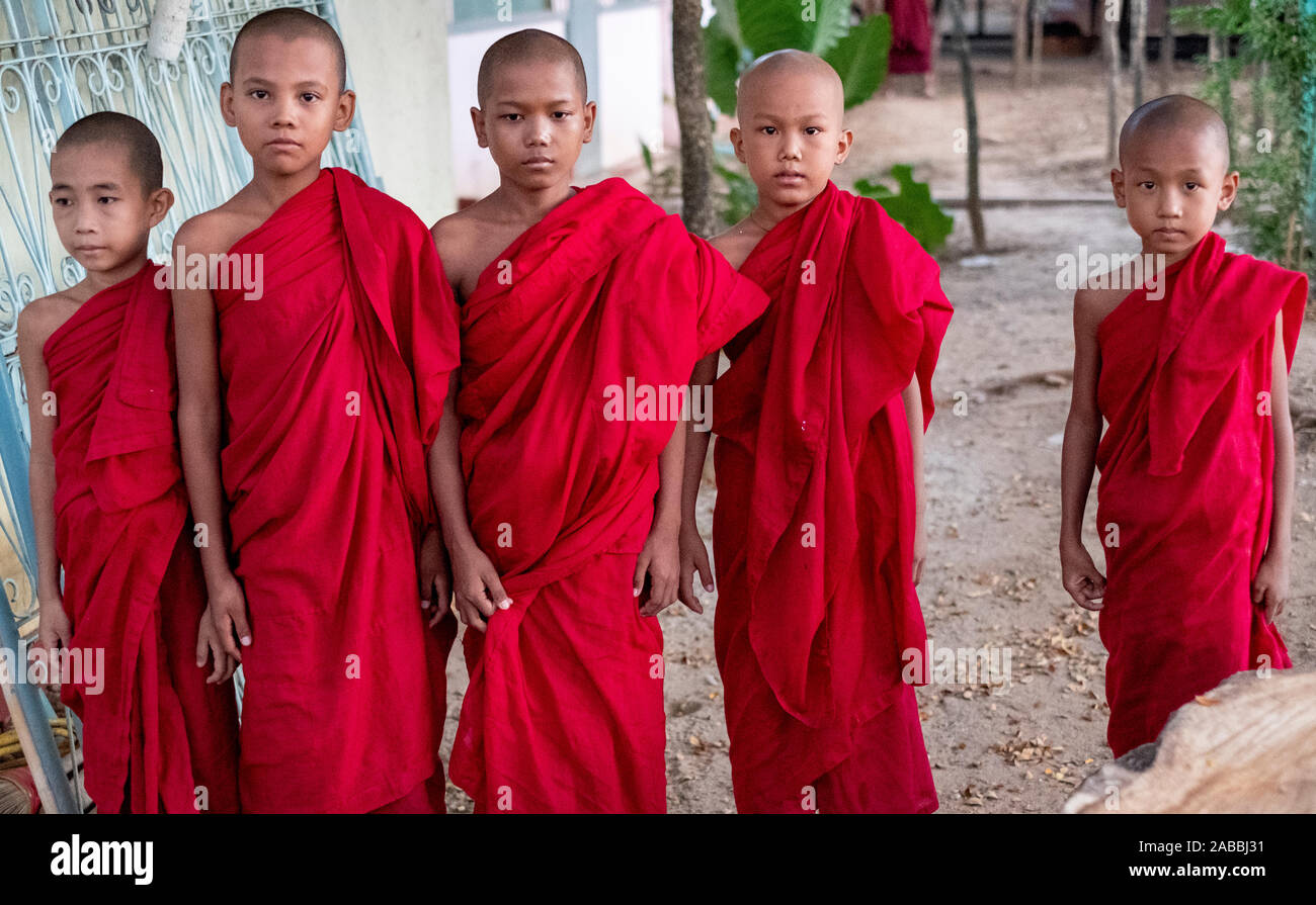 Young Buddhist monks with shaved heads and scarlet robes in a line at a monastery along the Chindwin River in Myanmar (Burma) Stock Photo