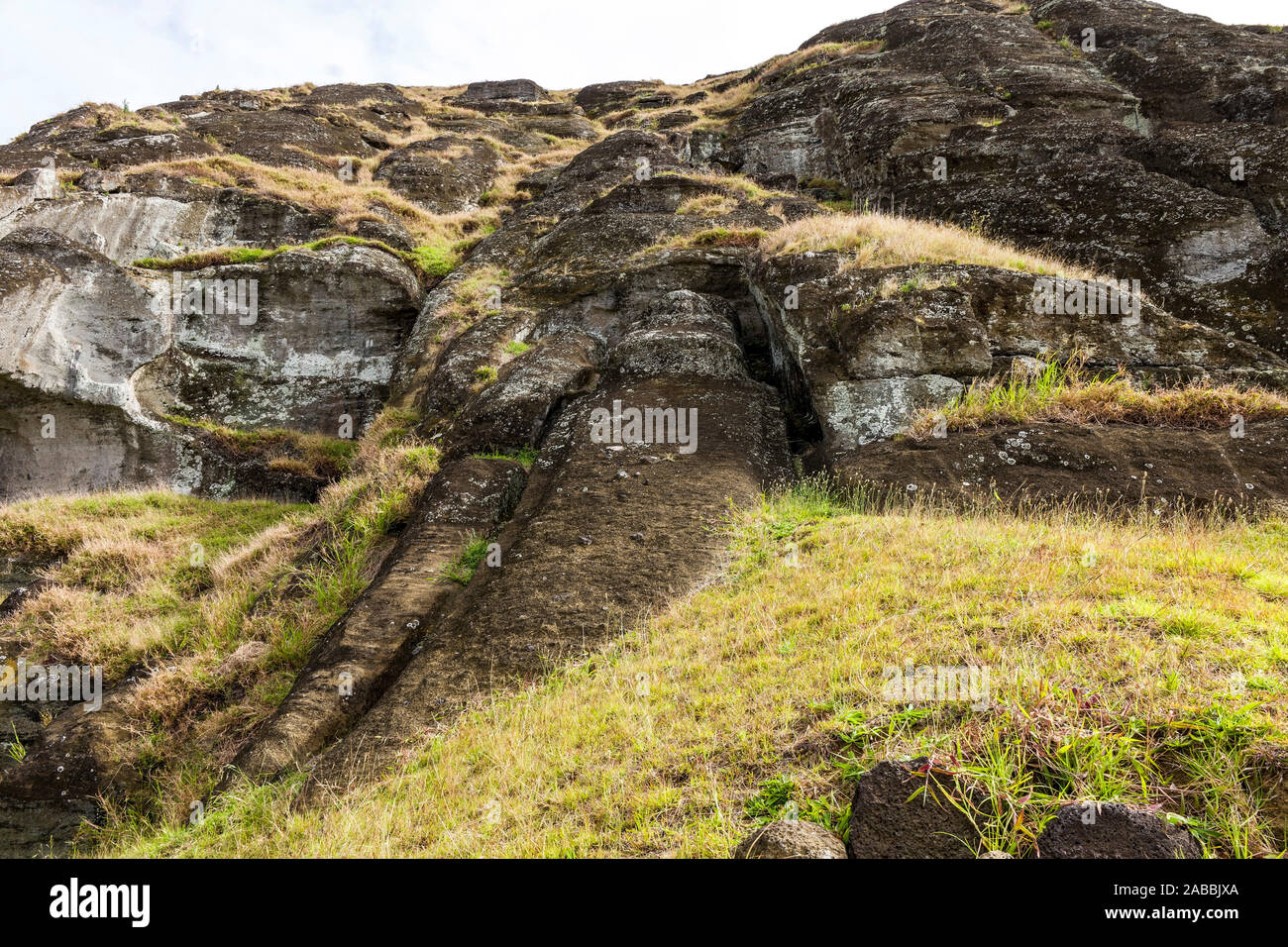 Rano Raraku Reeds Rano Raraku, Rapa Nui, Easter Island, Chile Stock Photo - Alamy