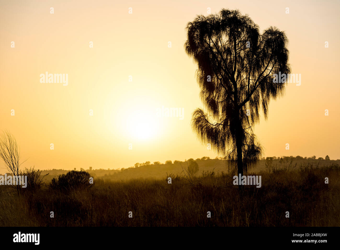 Desert dust storm sunrise Stock Photo
