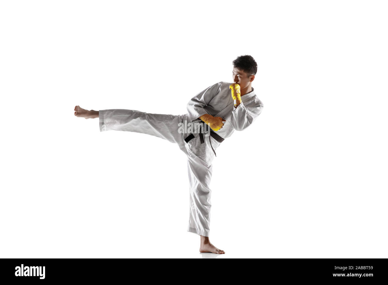 korean taekwondo belts