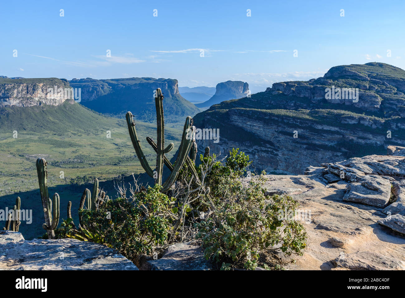 Cerrado landscape of the Chapada Diamantina National Park (Parque Nacional da Chapada Diamantina). Lencois, Bahia, Brazil. Stock Photo