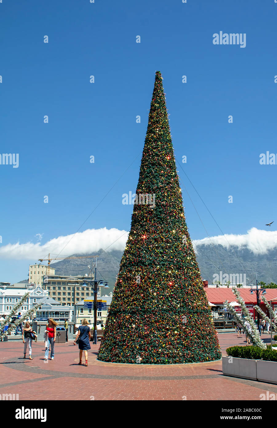 Christmas Tree Cape Town Stock Photo Alamy