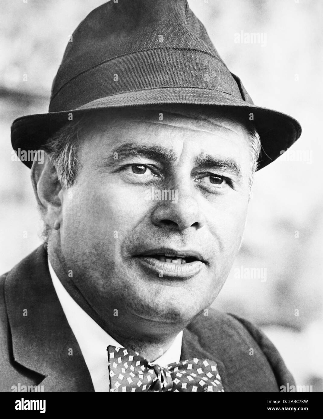 AFTER THE FOX, Martin Balsam, 1966 Stock Photo - Alamy