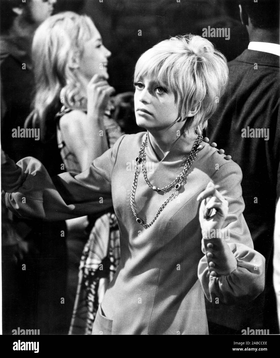 CACTUS FLOWER, Goldie Hawn, 1969 Stock Photo Alamy