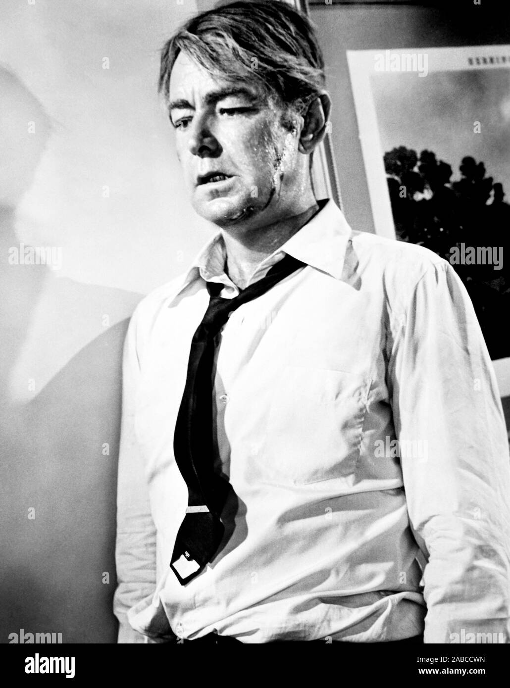 THE CARPETBAGGERS, Alan Ladd, 1964 Stock Photo Alamy
