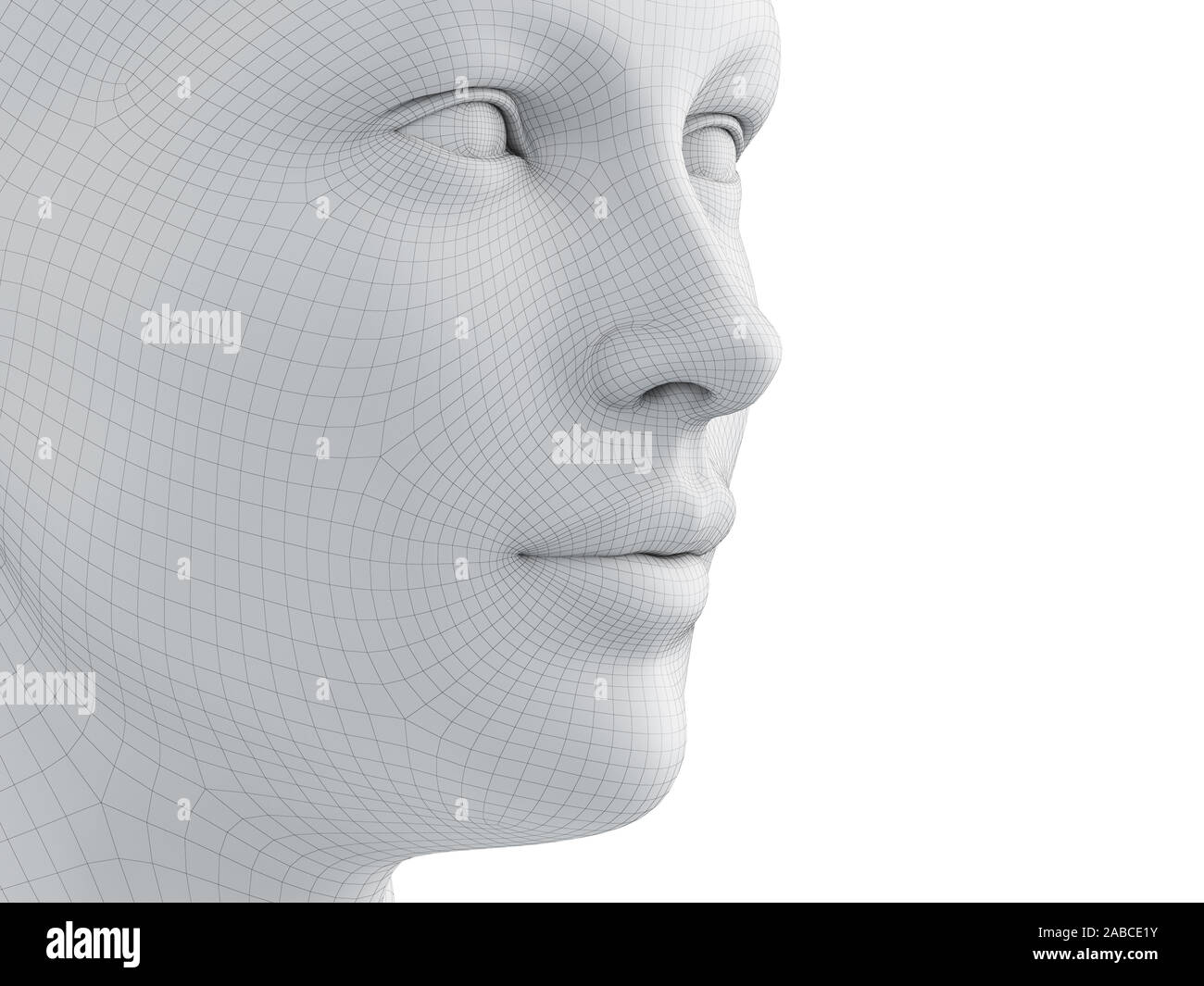 3d rendered medically accurate illustration of a female wireframe face ...