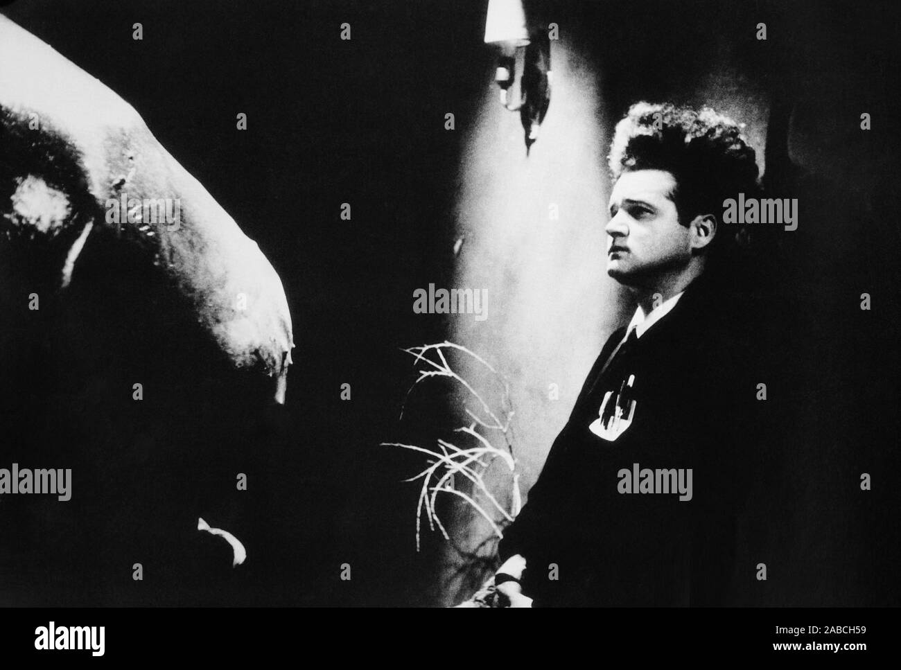 ERASERHEAD, Jack Nance, 1977 Stock Photo Alamy