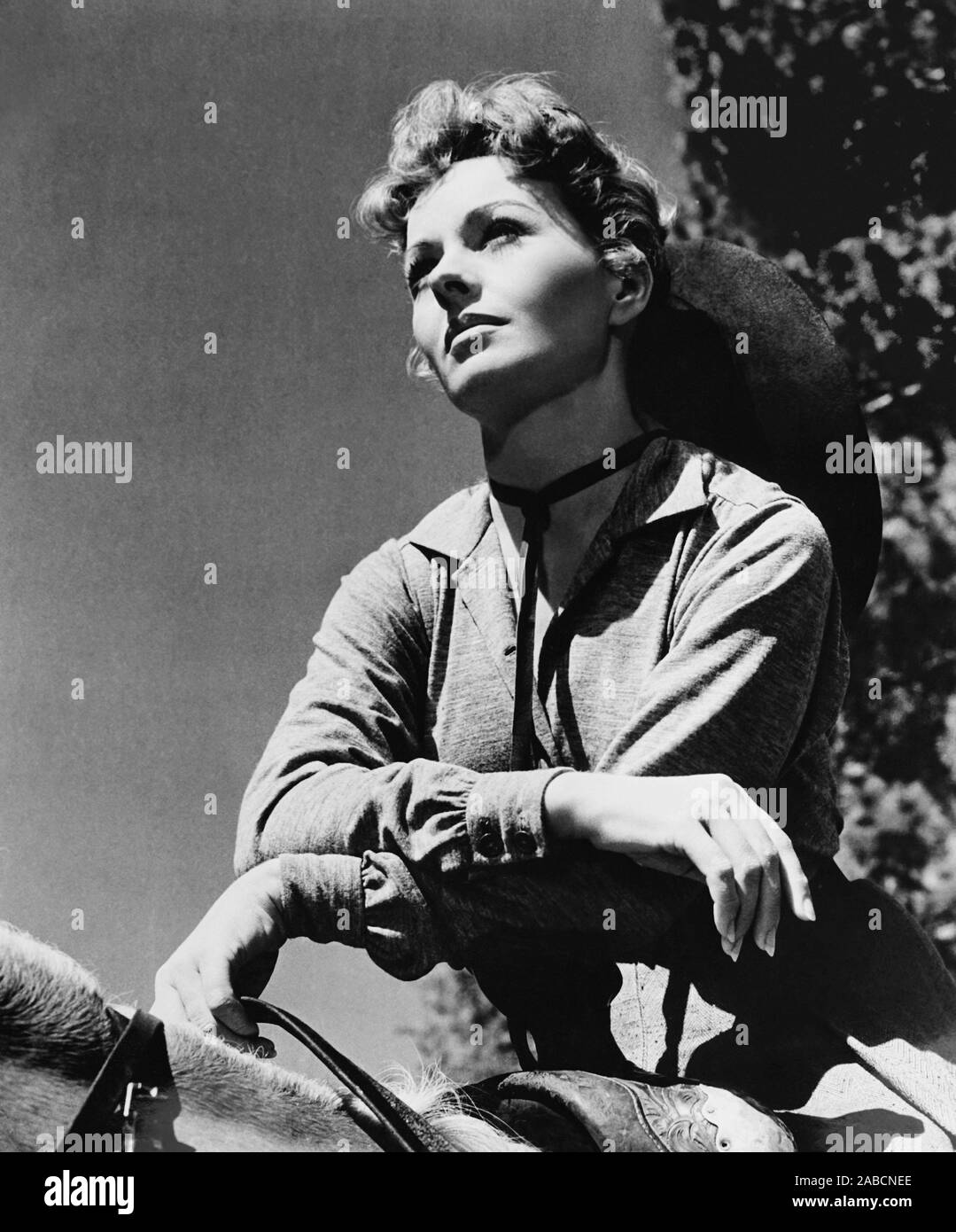 GUNS OF THE TIMBERLAND, Jeanne Crain, 1960 Stock Photo Alamy
