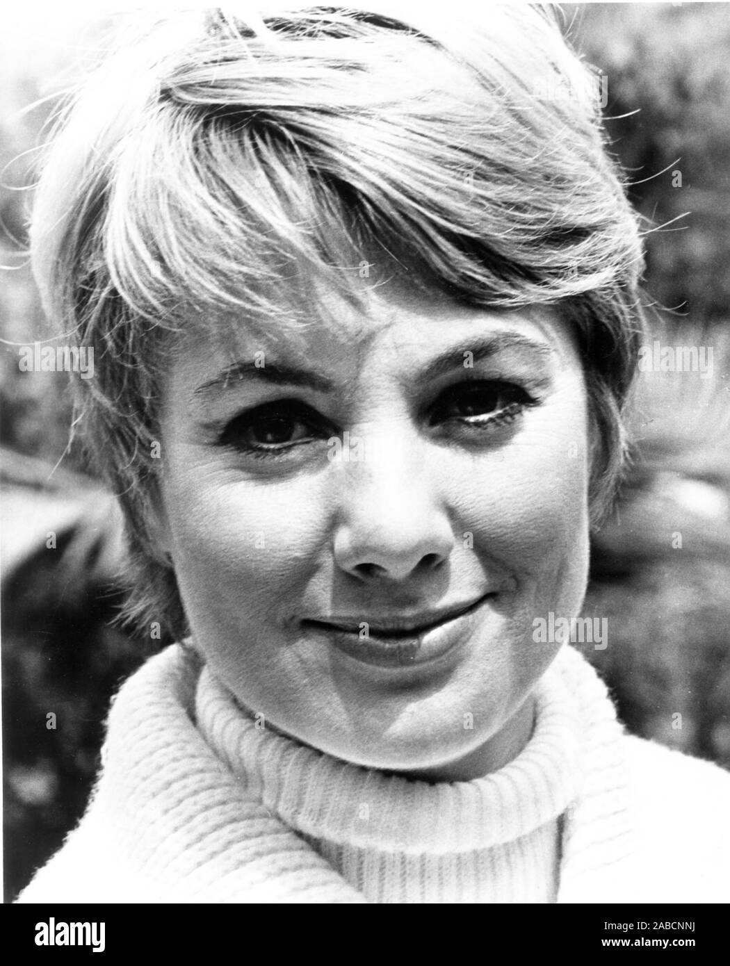 THE HAPPY ENDING, Shirley Jones, 1969 Stock Photo Alamy