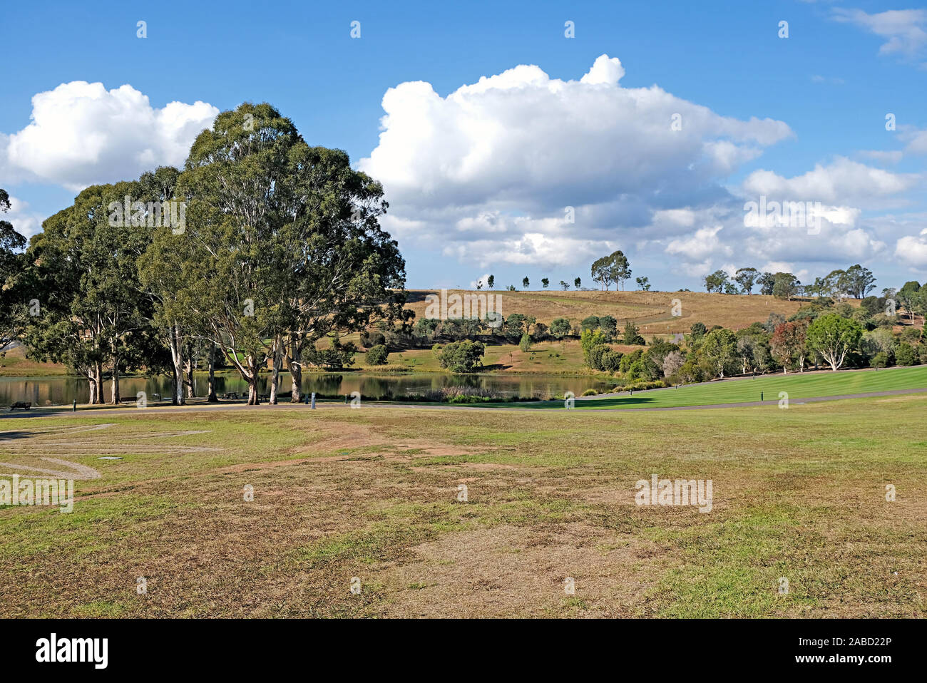 Panoramic view on the hills and lawns of The Australian Botanic Garden Mount Annan, New South Wales, Australia Stock Photo