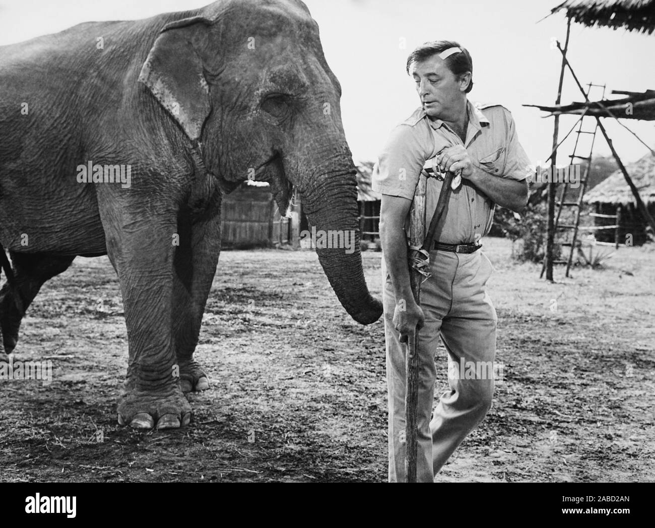 MISTER MOSES, Robert Mitchum, 1965 Stock Photo