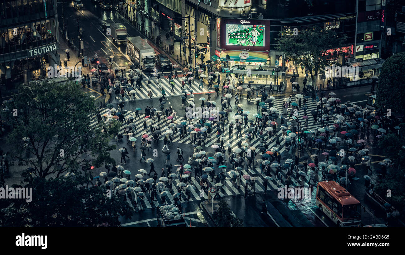 TOKYO - APRIL 17, 2017 :Shibuya scramble crossing, one of the busiest pedestrian crossing in the world, Japan. People crossing the street on rainy eve Stock Photo
