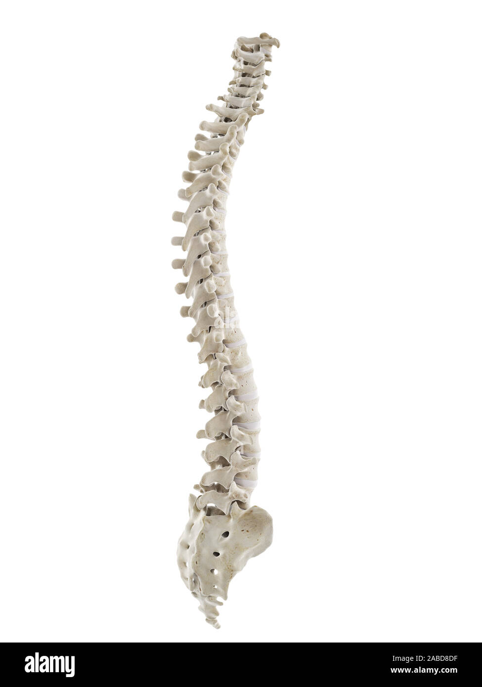 Spine Unity 4.1.24