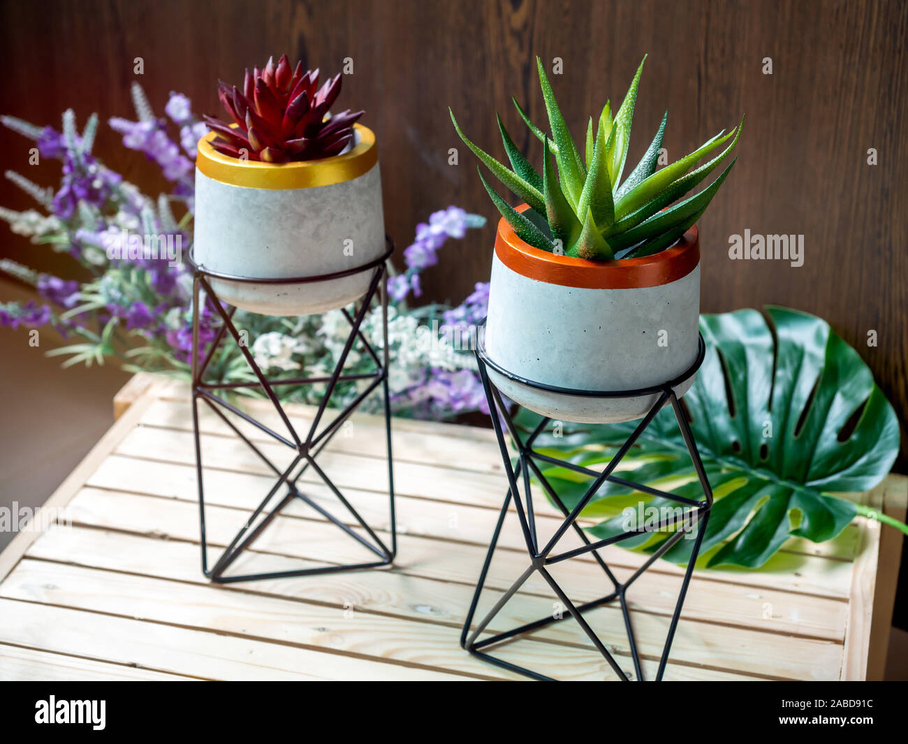 Cactus Pot Concrete Pot With Iron Stand Red And Green Succulent Plants In Modern Standing Planter With Flower And Palm Leaf On Wooden Table On Woode Stock Photo Alamy
