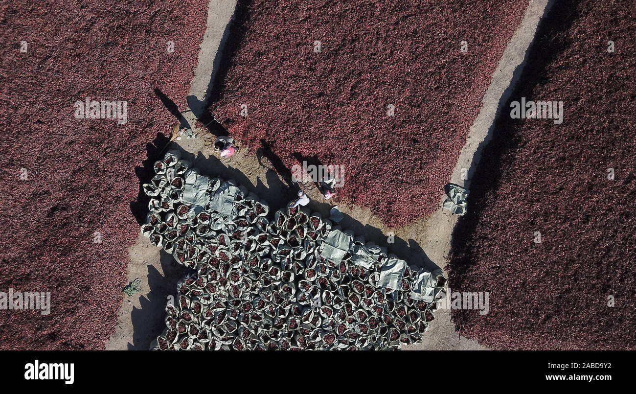 Aerial view of the red pepper drying land in Heshuo county, Bayingol Mongolian Autonomous Prefecture, north-west China's Xinjiang Uygur Autonomous Reg Stock Photo