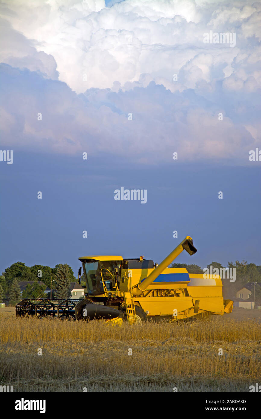 Maehdrescher hi-res stock photography and images - Alamy