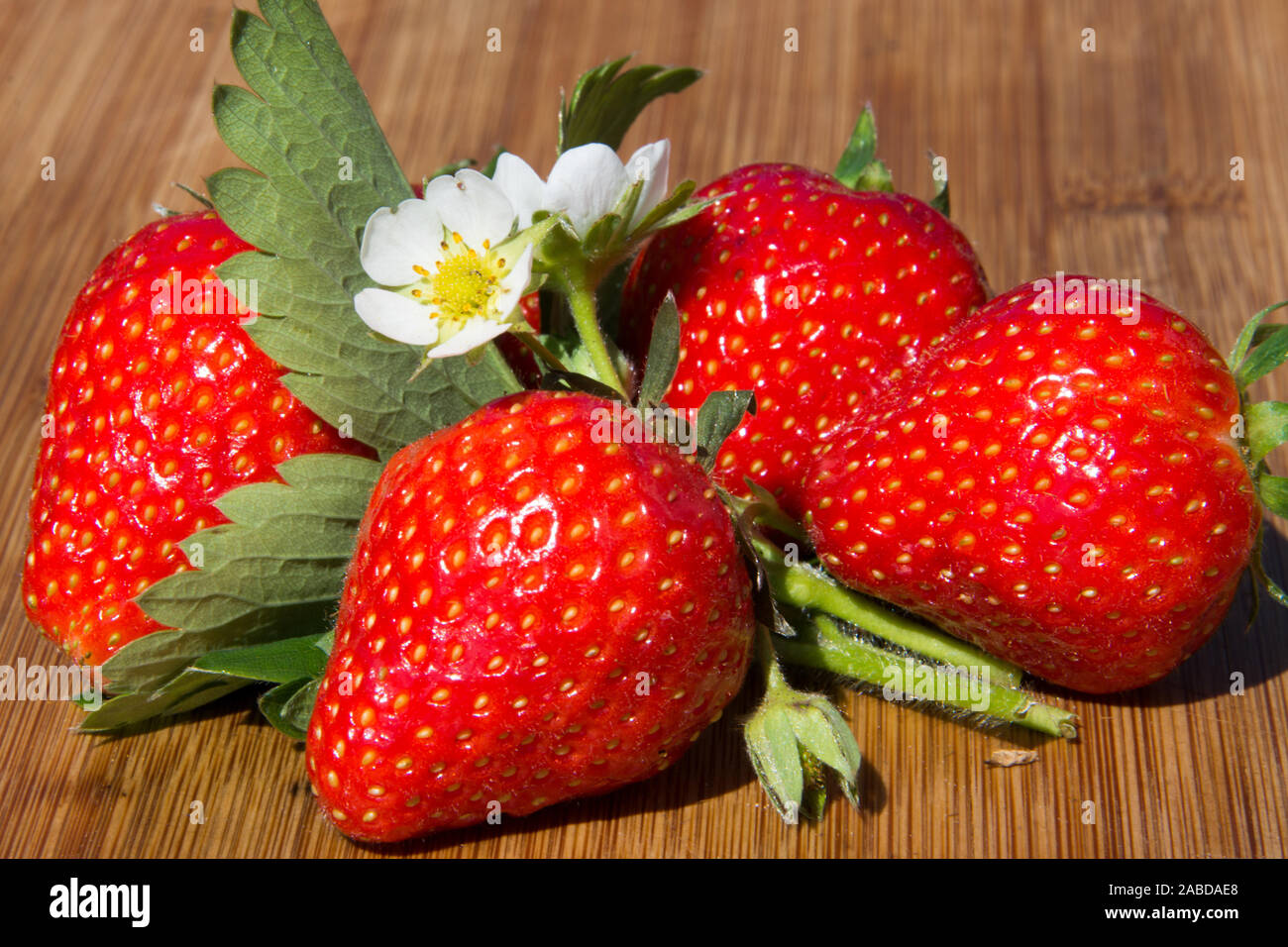 Erdbeeren, Dekoration, Fragaria, Rosengewaechs Stock Photo