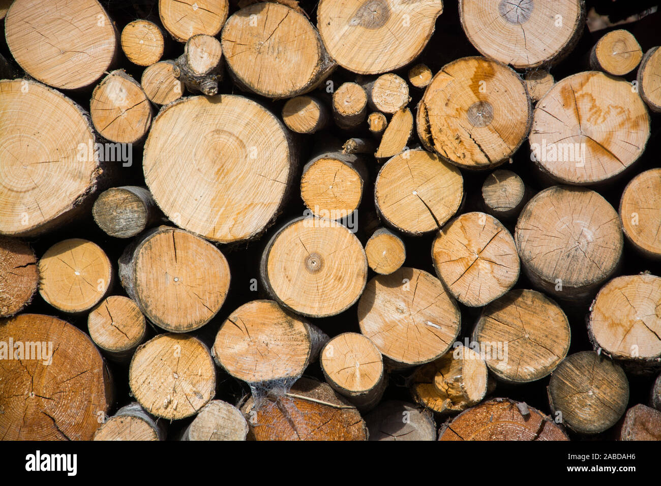 Brennholz aufgestapelt zum Trocknen für gemütliche Winterabende. Stock Photo