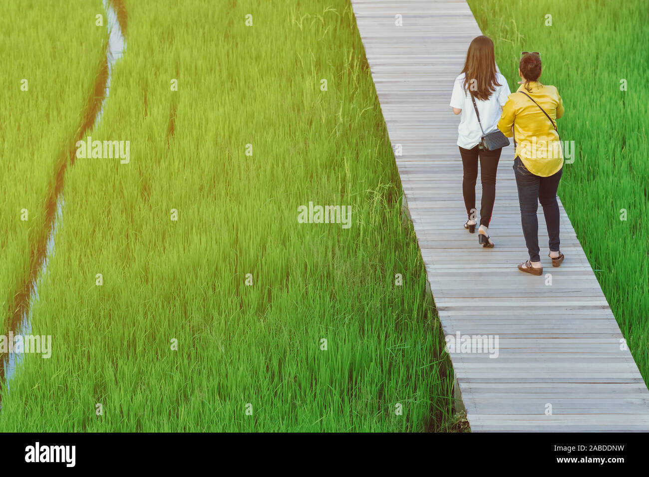 Two Friends Back Back view of two female friends walk and take photography along the ...